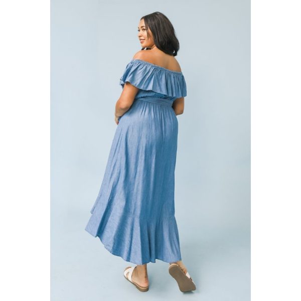 Curve Denim Ruffle dress back view